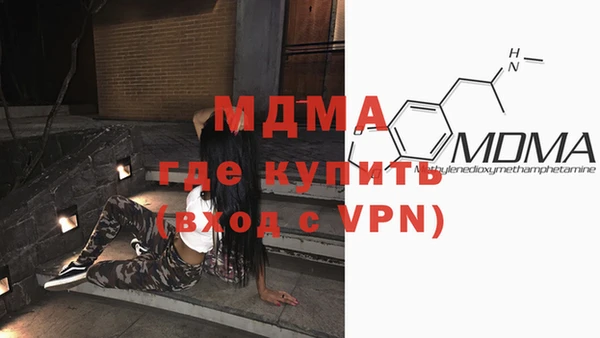 прущие грибы Костерёво