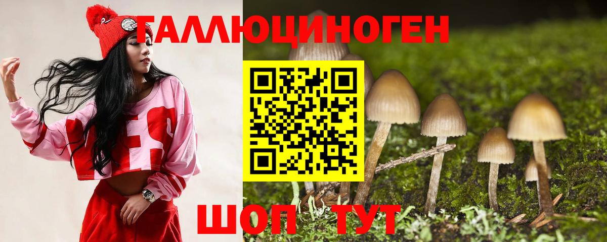 Тихвин  Псилоцибиновые грибы GOLDEN TEACHER  Вход с VPN 